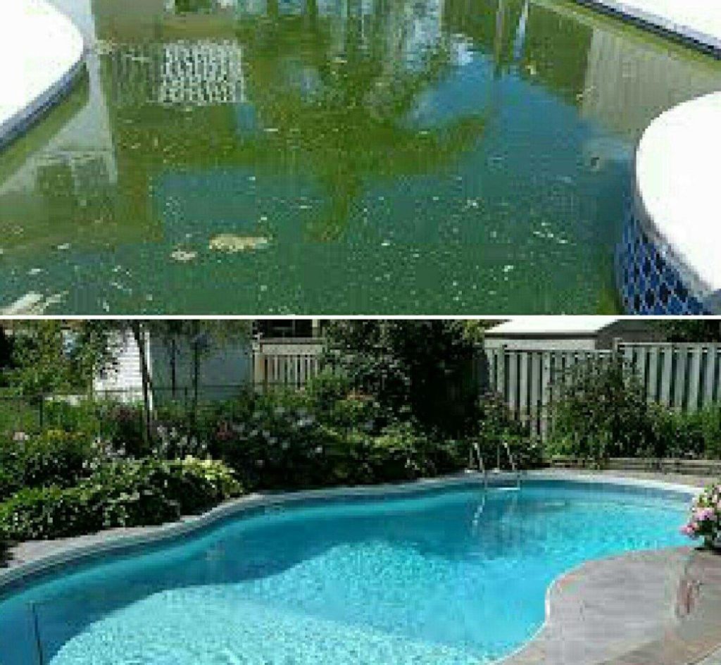 my pool water is green what should i do